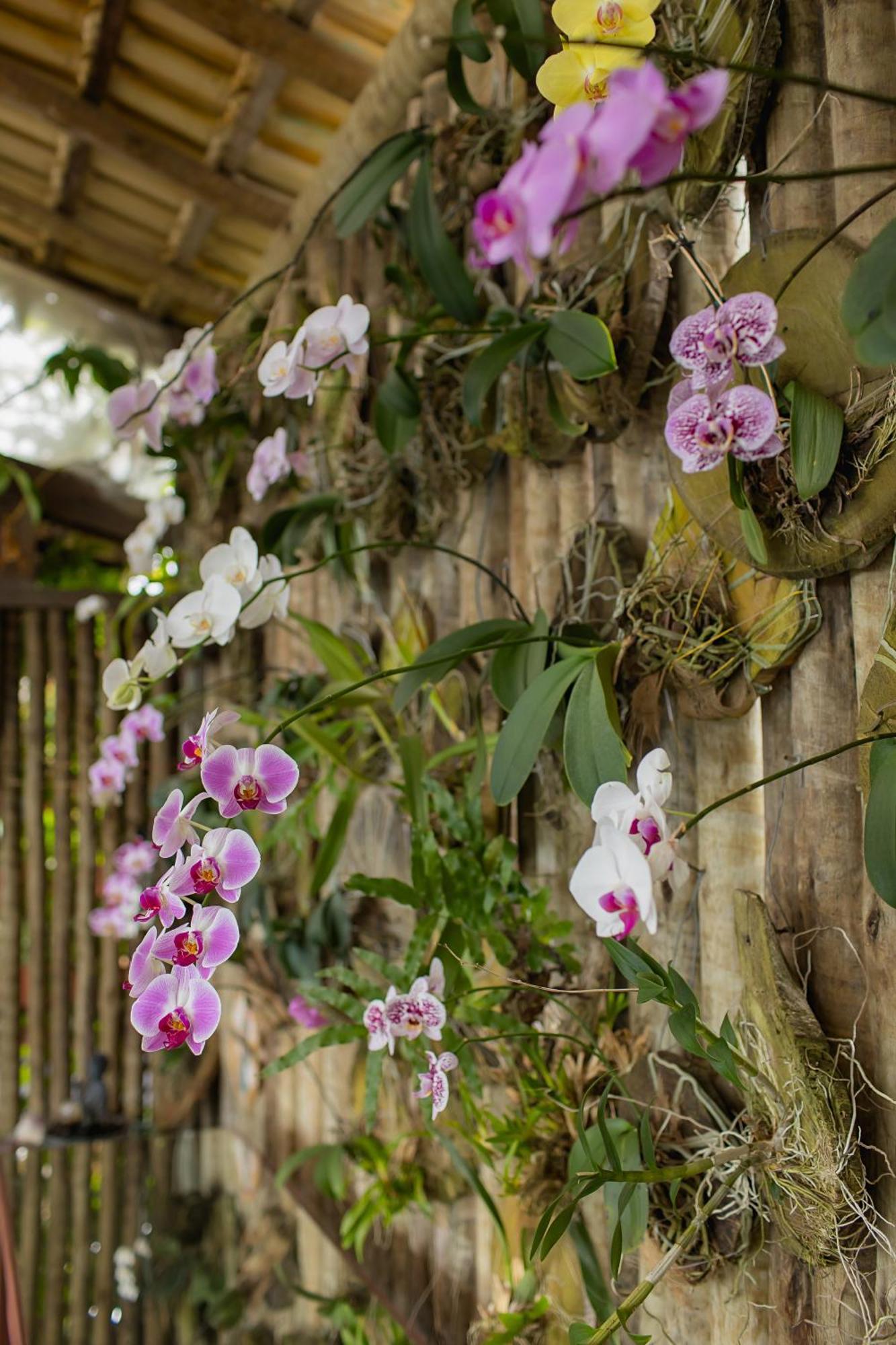 Orquidea Cafe Hotel Guarapari Bagian luar foto